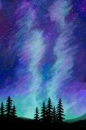 The image for Saturday $35: Reservations Required: Aurora Borealis